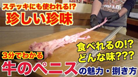 牛 ペニス|【珍味】牛の牛鞭が手に入ったので超美味しく料理します！